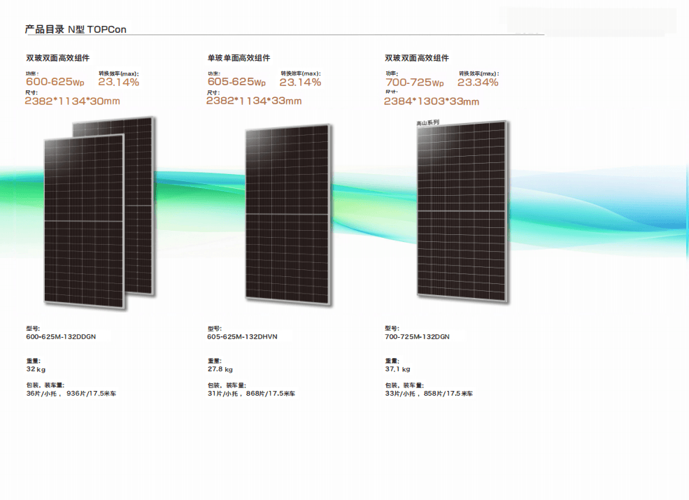 Bifacial Module